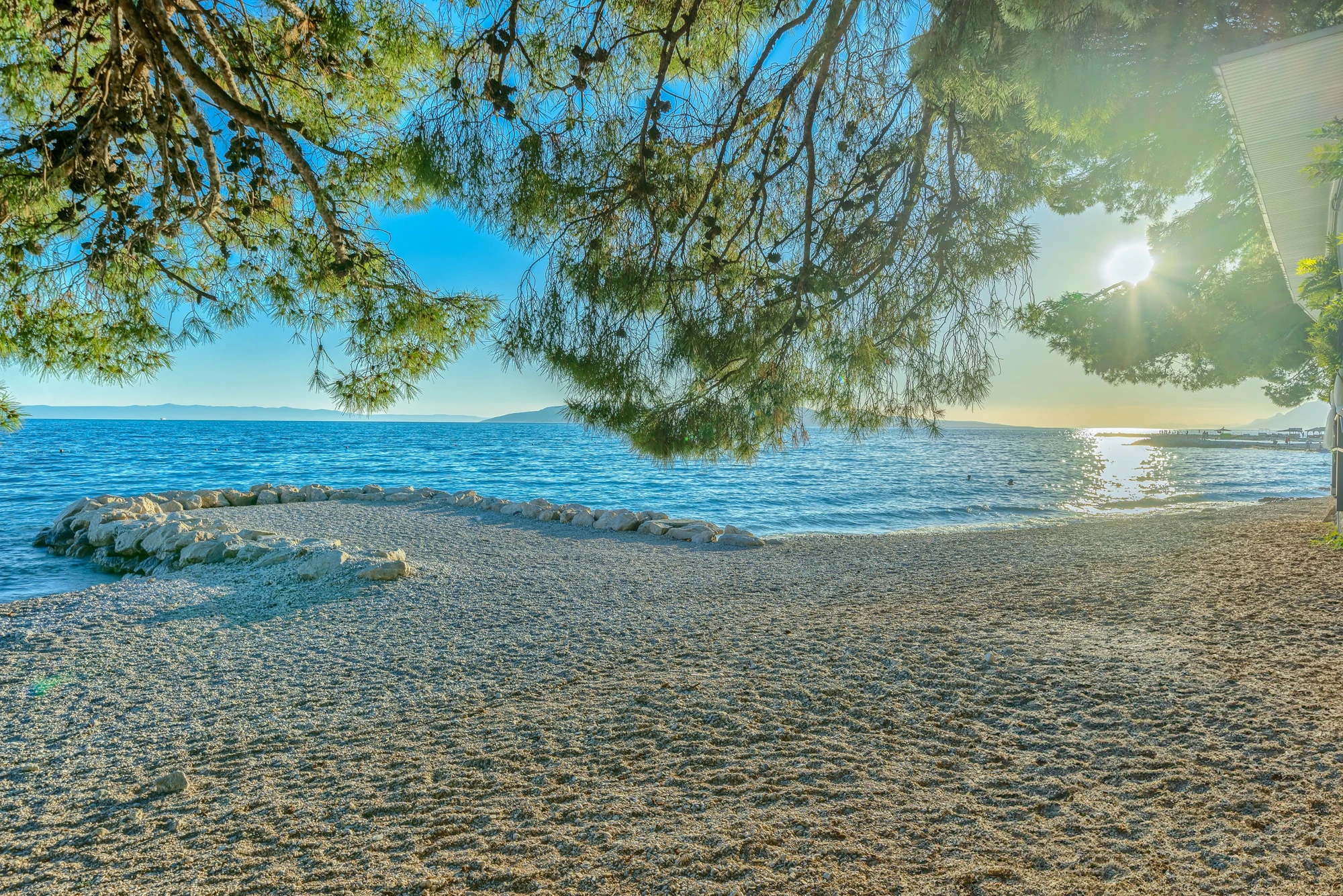 Pine-shaded pebble beach beside the clear Adriatic Sea in Makarska